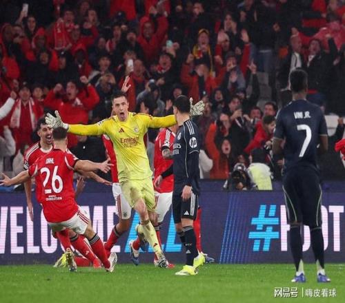 中国匹克球,巡回赛总决,赛在桂林盛,NG体育app下载,NG体育官网,NG体育官方网站,NG体育平台